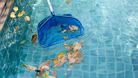 Pool skimmer rod removing leaves from a clear swimming pool.