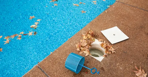 Pool skimmer basket next to pool filled with leaves, showing clear water in the pool.
